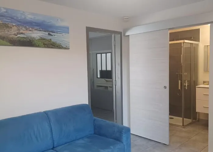 Agreable T2 Pres Des Plages Avec Parking Arcangues